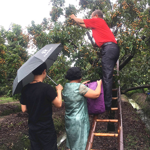 香港宝典资科大全